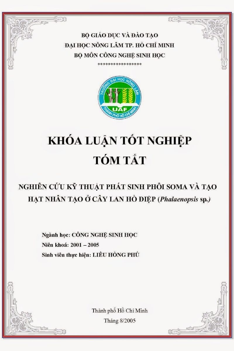 Tổng hợp 100 mẫu bìa Word đẹp nhất, chuyên nghiệp nhất